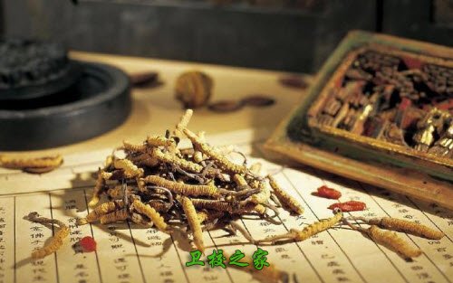 中医学专业好不好