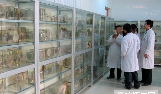 医学检验技术