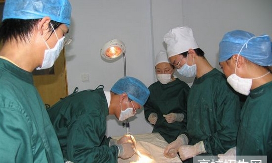 临床医学专业