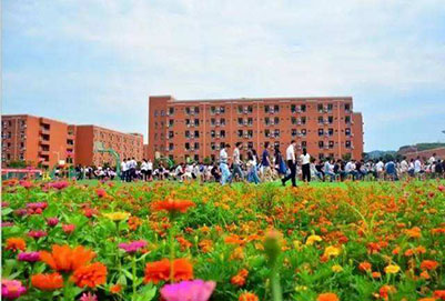 读成都3+2学校要什么条件