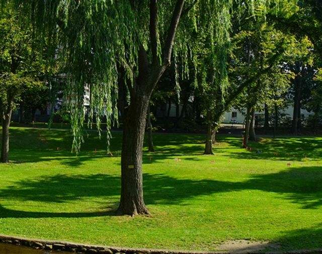 高铁专业 高铁专业