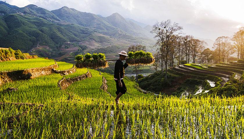 畜牧兽医专业 畜牧兽医专业