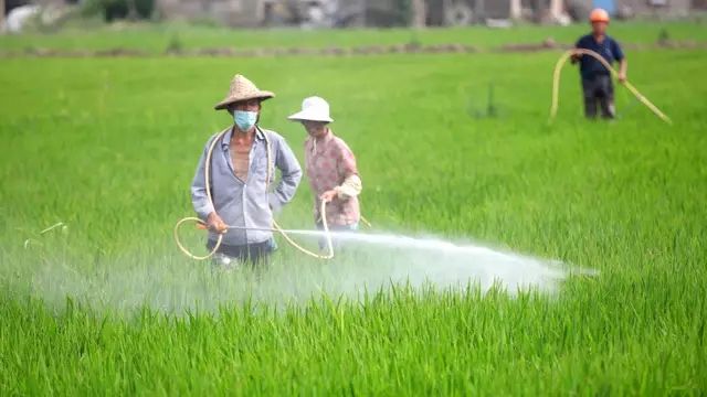 畜牧兽医专业 畜牧兽医专业