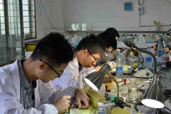 2020文物保护技术专业就业分析 2020文物保护技术专业就业分析