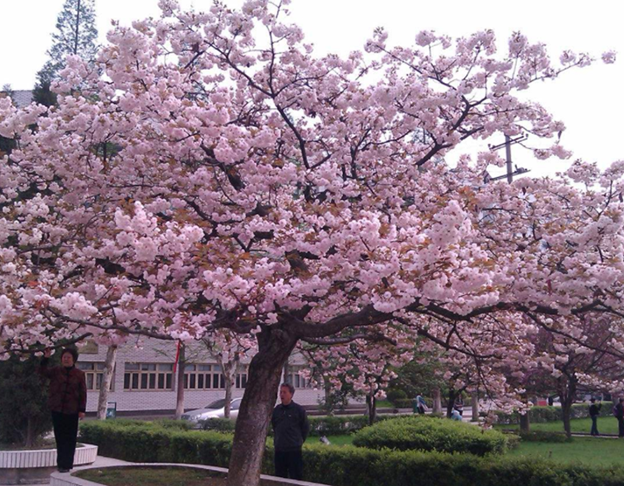 遵义师范学院小学教育专业招生_招生信息