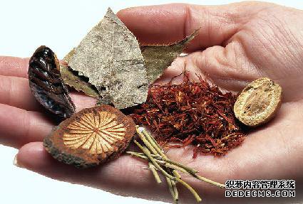 中药鉴定与质量检测技术专业 中药鉴定与质量检测技术专业