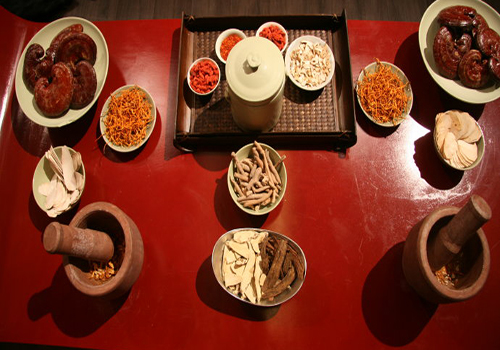 中药鉴定与质量检测技术专业 中药鉴定与质量检测技术专业