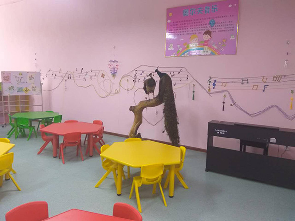 成都市中山职业技术学校学前教育(幼儿教育)介绍_招生信息