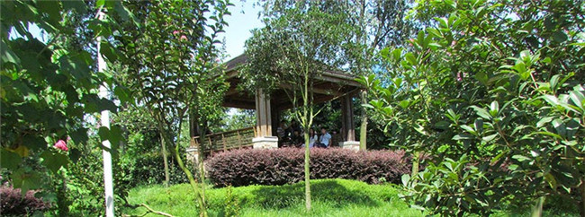 成都郫县希望职业学校图片、照片 成都郫县希望职业学校图片、照片