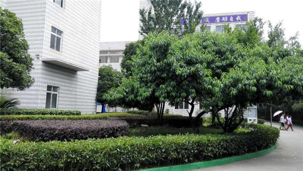 成都市中山职业技术学校图片、照片 成都市中山职业技术学校图片、照片