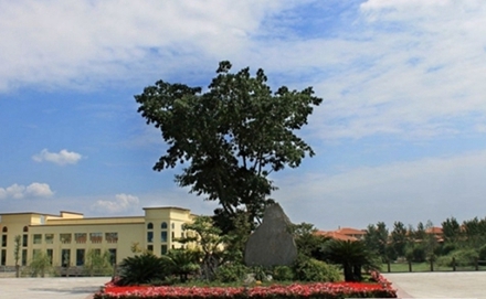 四川文理学院学前教育专业招生_招生信息