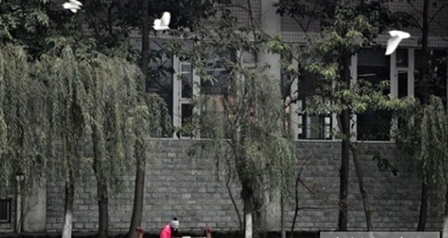 四川城市职业学院应用英语专业招生_招生信息