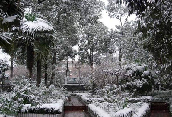 四川幼儿师范高等专科学校小学教育专业招生_招生信息