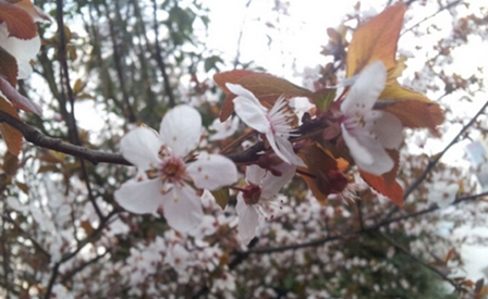 大理大学医学院医学检验技术专业招生_招生信息