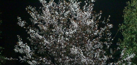 大理大学医学院药学专业招生_招生信息