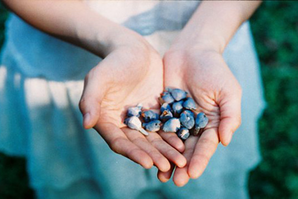 高中排名 高中排名