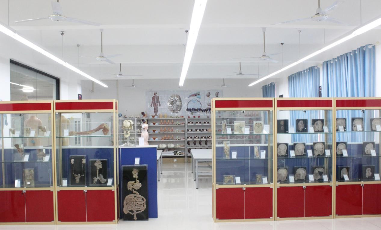 贵州应用技术职业学院：护理专业介绍_招生信息