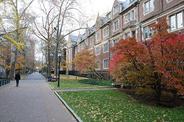 湄潭县中等职业学校 湄潭县中等职业学校