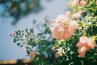 高铁乘务对女生有什么要求呢？春招招生信息