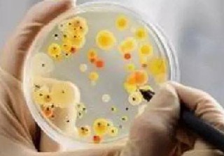 贵阳市高铁专业学校的就业环境如何? 贵阳市高铁专业学校的就业环境如何?