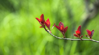 贵阳市铁路学校能为学生带来什么价值? 贵阳市铁路学校能为学生带来什么价值?