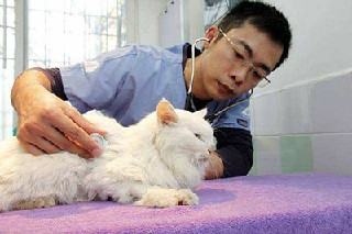 贵阳市铁路学校的铁路运输专业招生简介 贵阳市铁路学校的铁路运输专业招生简介