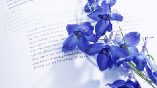 贵阳2020年哪些大专学校的铁路学校好