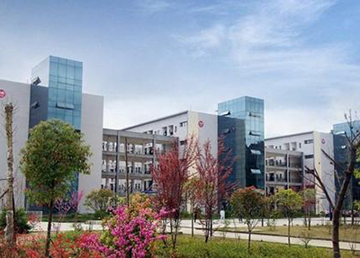 全日制学校 全日制学校