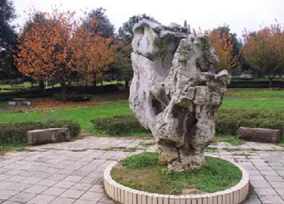 贵州交通职业学校哪些专业好 贵州交通职业学校哪些专业好