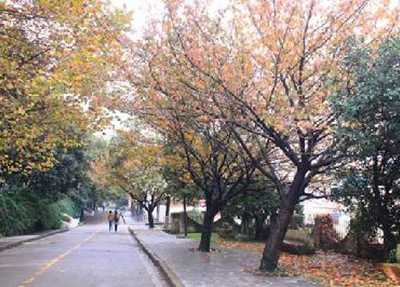 贵州交通职业学校专业排名 贵州交通职业学校专业排名