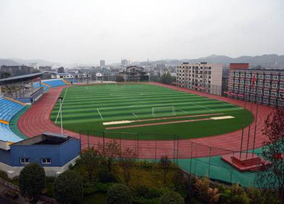 åå
æ¤çè䏿æ¯å¦æ ¡