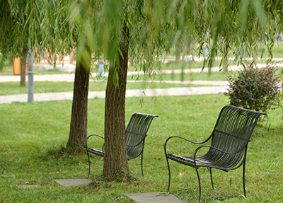 ç»¿è²æ ¡å.jpg