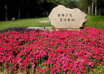 校园风景1.jpg 校园风景1.jpg