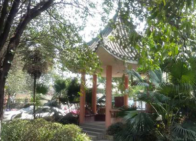 校园一角.jpg 校园一角.jpg