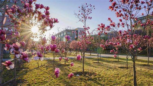 望谟县中等职业学校学校简介 望谟县中等职业学校学校简介