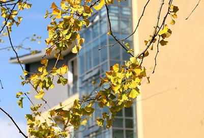 遵义职业技术学校管理制度怎么样?