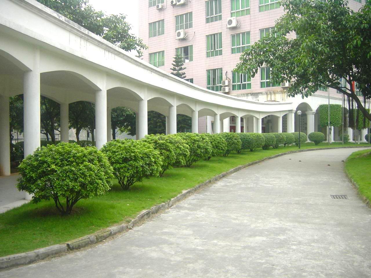 2020年报读四川蜀都卫生学校有什么报考注意事项？