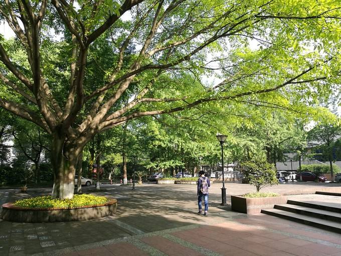 彭州市技工学校2020年招生专业计划有哪些？