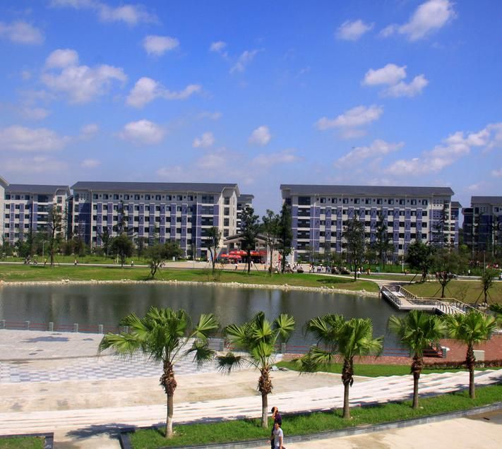 2020年四川幼儿师范高等专科学校开设招生专业计划