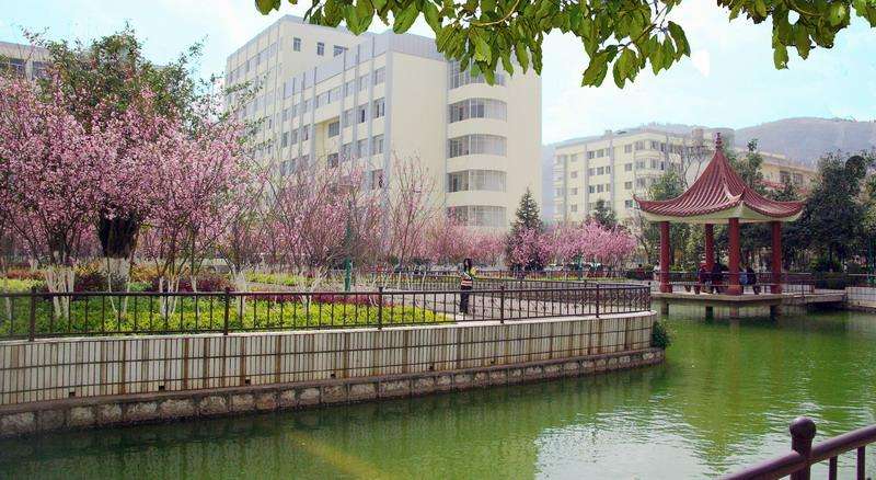 乐山市金盾职业学校2020年热门专业