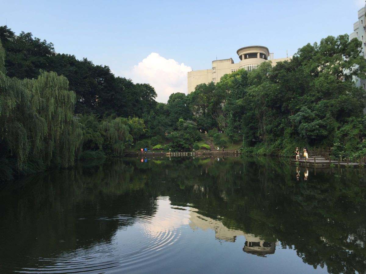广元市旺苍县技工学校2020年报名地址