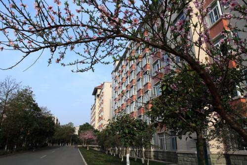 2019年四川工程职业技术学院招生办联系电话