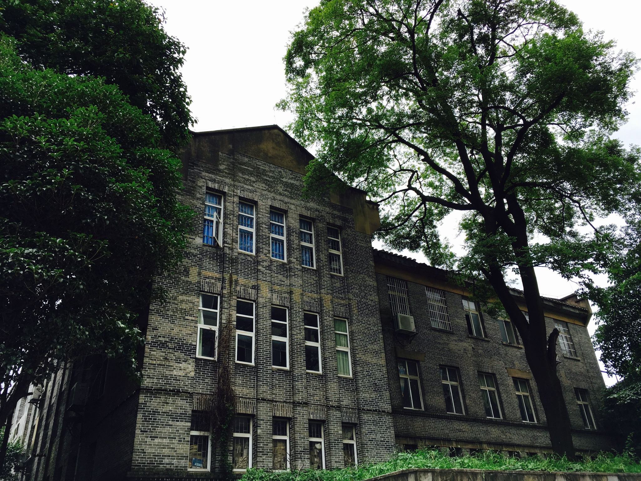 2019年成都棠湖科学技术学校校园设施如何，环境好不好？