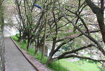 成都郫县铁路机电工程学校:如何选择好学校?