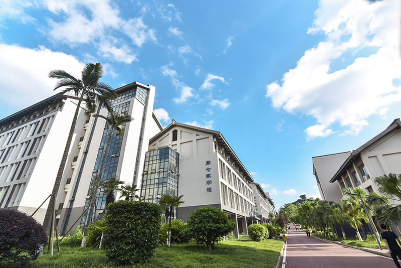 彭水苗族土家族自治县职业教育中心学校简介 彭水苗族土家族自治县职业教育中心学校简介