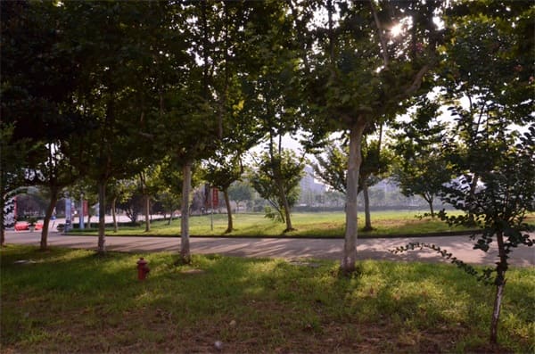 重庆华绣中等专业学校简介 重庆华绣中等专业学校简介