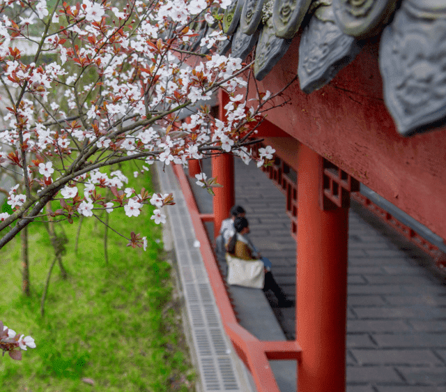 重庆第一财贸学校学校简介 重庆第一财贸学校学校简介