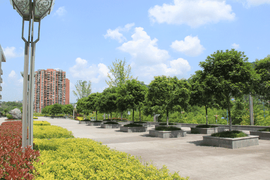 重庆第一财贸学校学校简介 重庆第一财贸学校学校简介