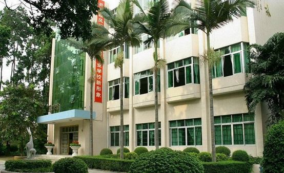 重庆市卫生技工学校简介 重庆市卫生技工学校简介