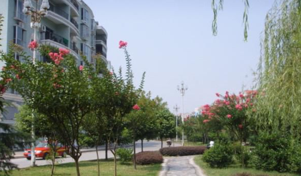 重庆市垫江职业教育中心 重庆市垫江职业教育中心